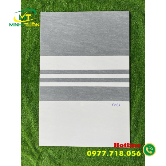 Gạch ốp tường 30X60 HK3083