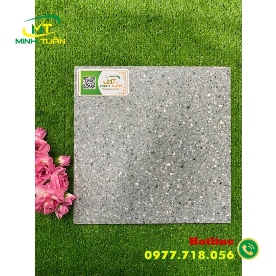 Gạch 30x30 HPD3050