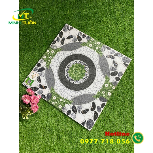 Gạch 50x50 HPSBBHP5509