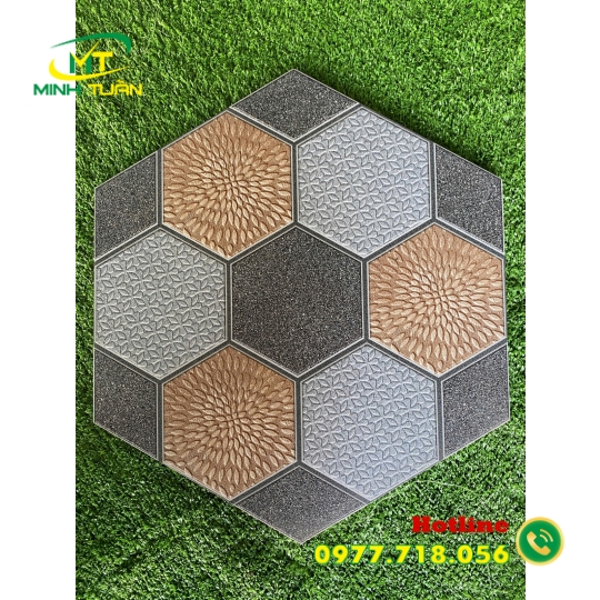 Gạch Lục giác CA9322