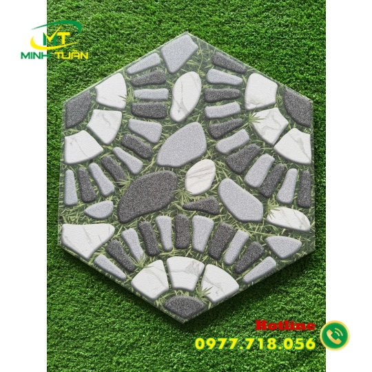 Lục giác TTT