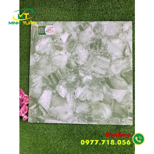 Gạch 50x50 MHKE50269G