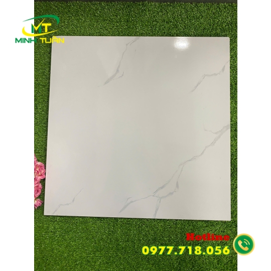 Gạch 50x50 MT532