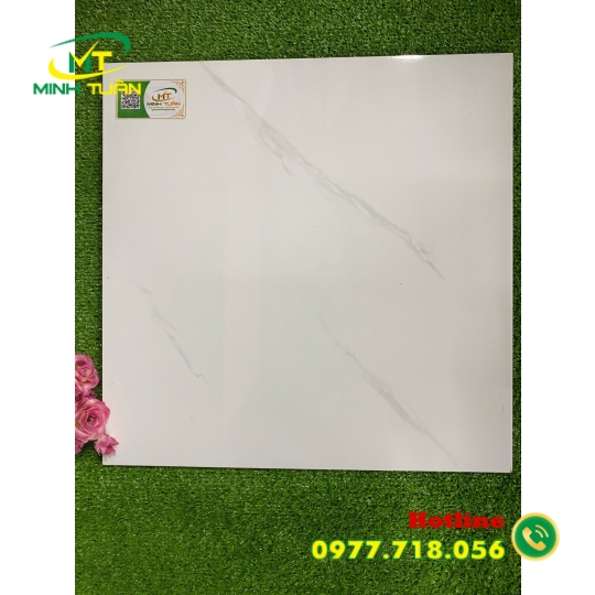 Gạch 50x50 NHTE52