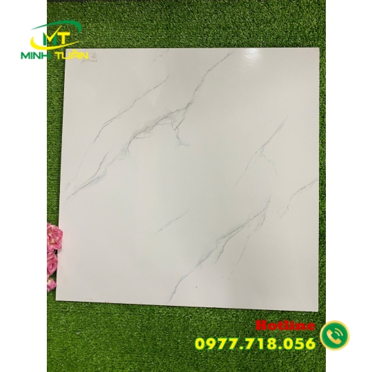 Gạch 50x50 NK508