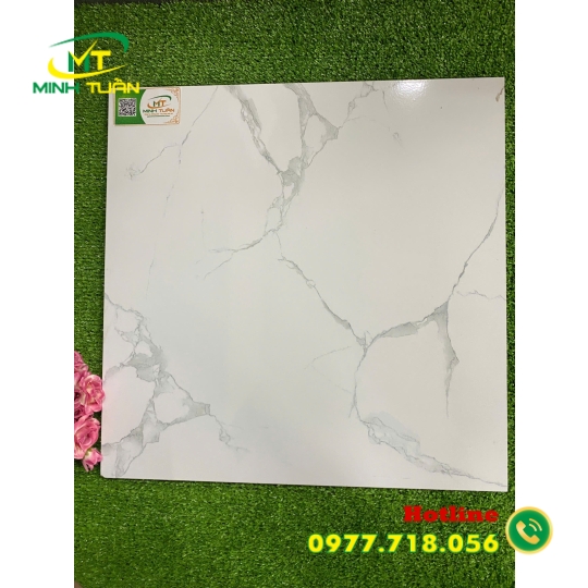 Gạch 50x50 NK572