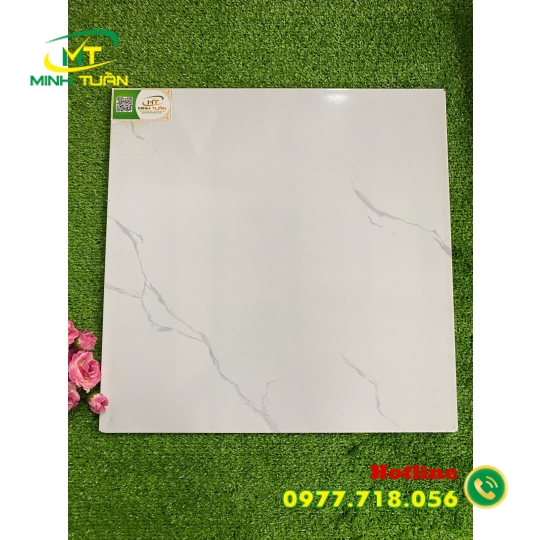 Gạch 50x50 PLGK5108