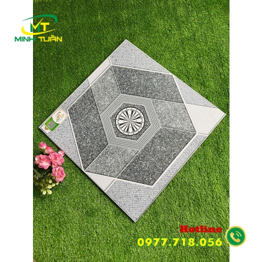 Gạch 50x50 SBBHP5507
