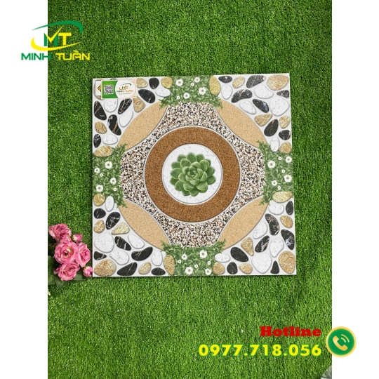 Gạch 50x50 SBBHP5508
