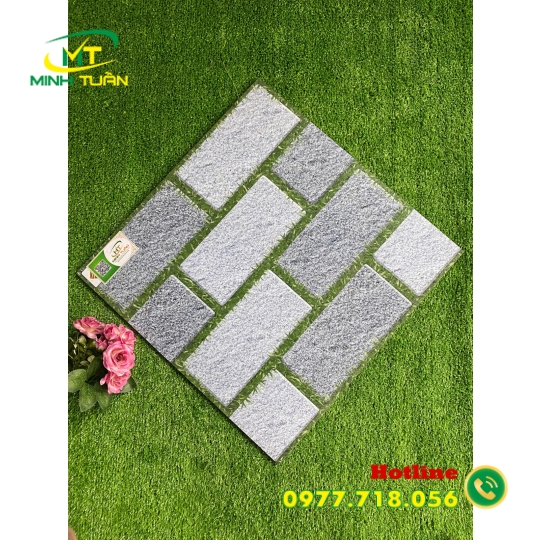 Gạch 50x50 SBBHP5510