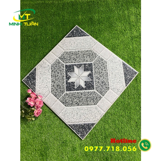 Gạch 50x50 SBBML5506