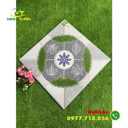 Gạch 50x50 SBBYN07