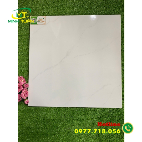 Gạch 50x50 THPWGHC5001