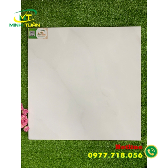 Gạch 50x50 THPWGHC5005