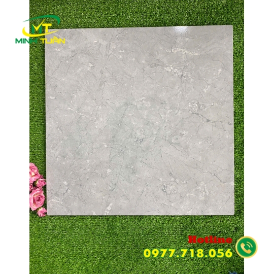 Gạch 50x50 TKH1013