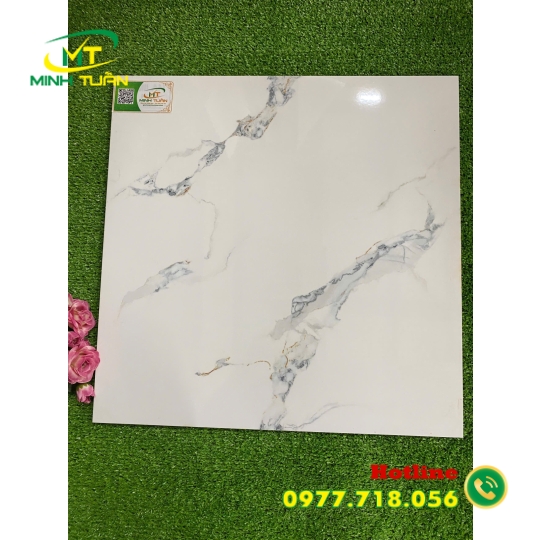 Gạch 50x50 TMLF5401