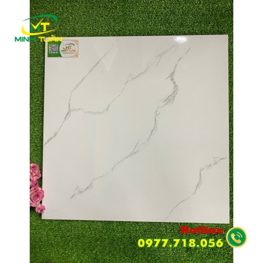 Gạch 50x50 TMLF5403