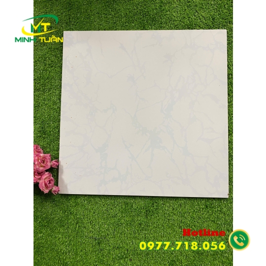 Gạch 50x50 TP