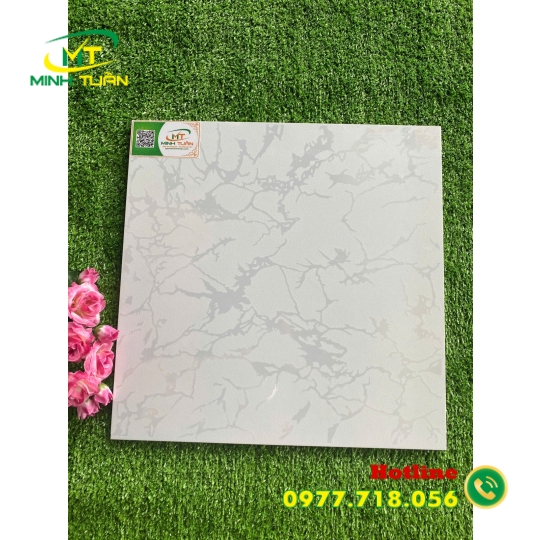 Gạch 40x40 TP40027