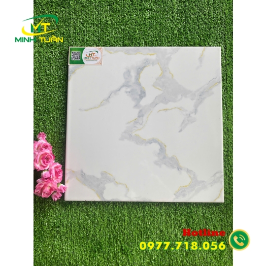 Gạch 40x40 TP4403