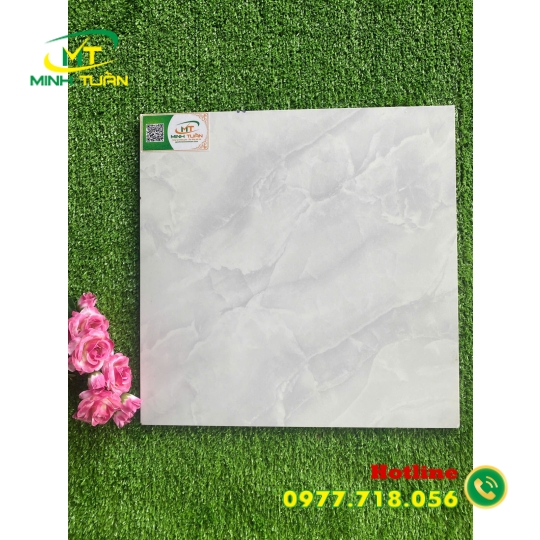 Gạch 40x40 TPN042