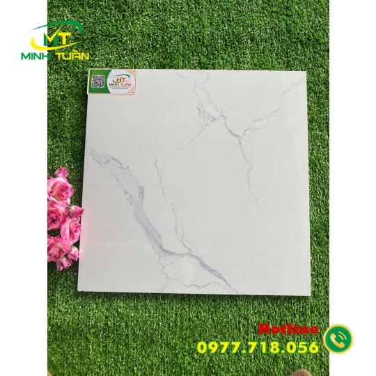 Gạch 40x40 TPN049