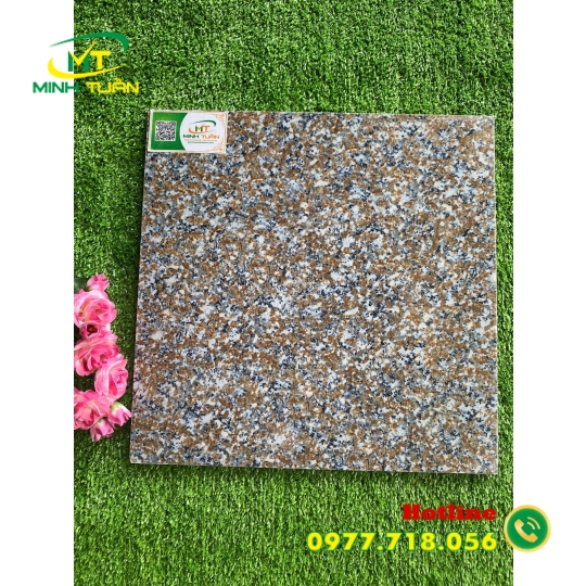 Gạch 40x40 TPN051