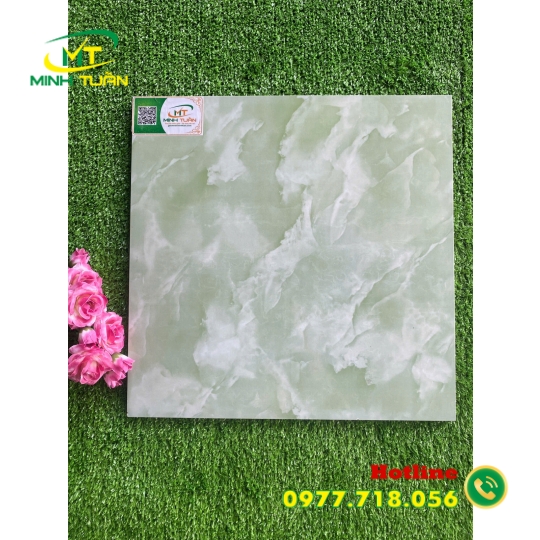 Gạch 40x40 TPN413