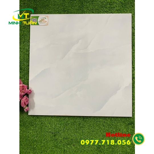 Gạch 50x50 TPSA5001