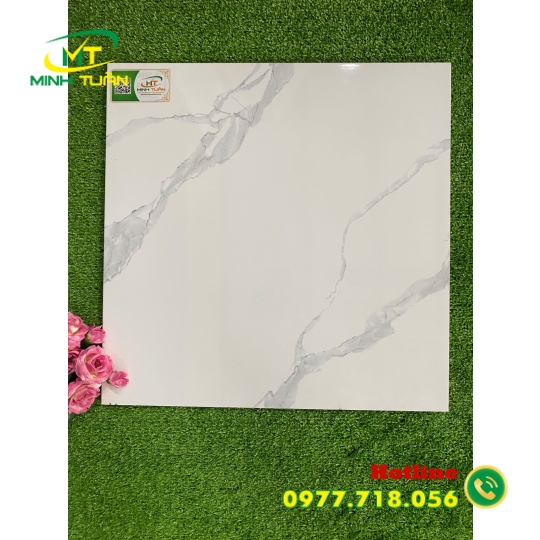 Gạch 50x50 TPSA5002