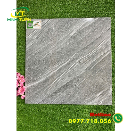 Gạch 50x50 TPSA5004