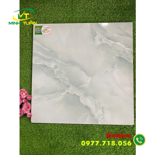 Gạch 50x50 TPSA5005