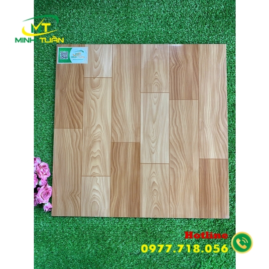 Gạch 50x50 TPSA5008