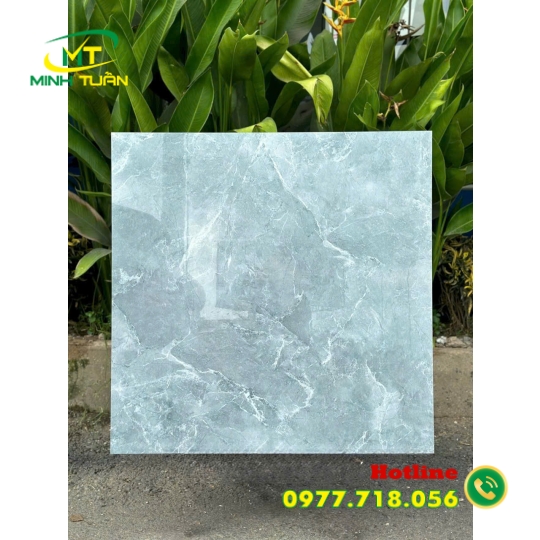 Gạch 80x80 TT58906