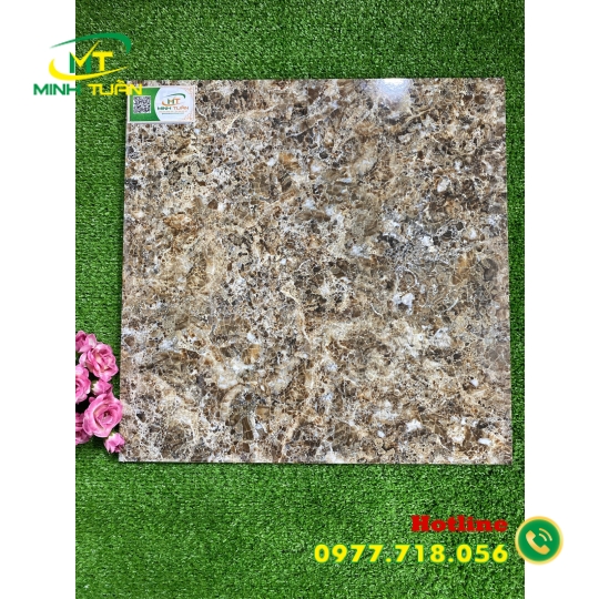 Gạch 50x50 TTP523
