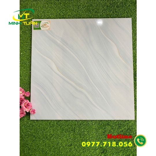 Gạch 50x50 VTCVZ5325