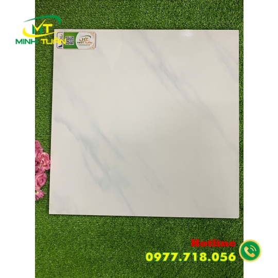 Gạch 50x50 YN542