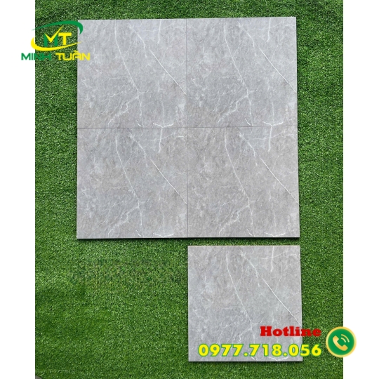 Gạch 30x30 3HG003