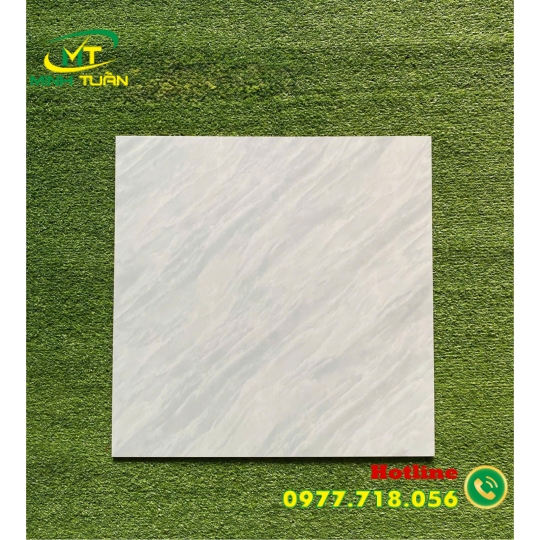 Gạch 50x50 6KS5160