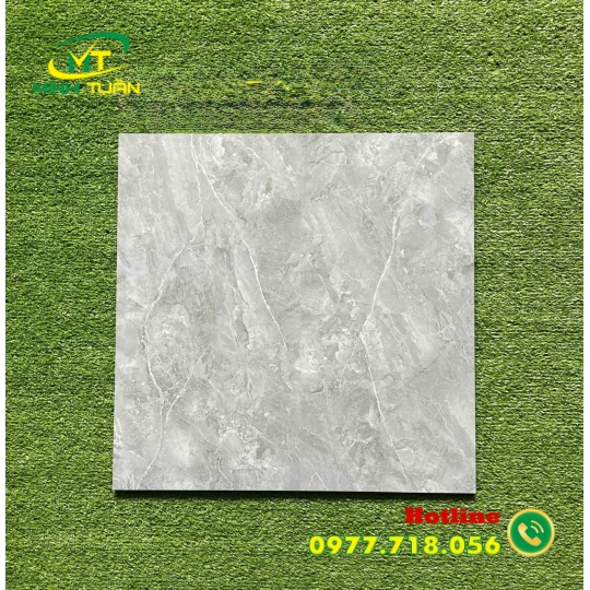 Gạch 50x50 6KS5154
