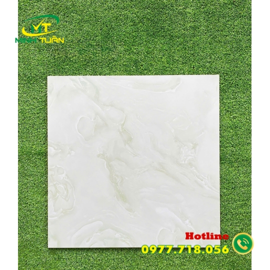 Gạch 50x50 KS5119