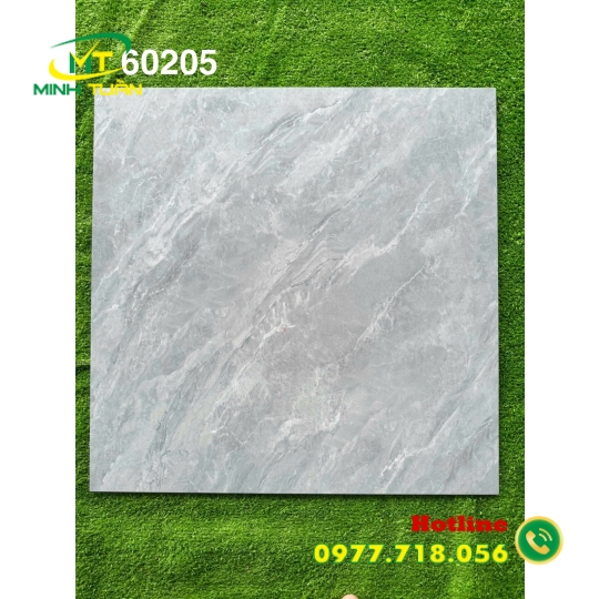 Gạch đá bóng kính 60x60 MT60205