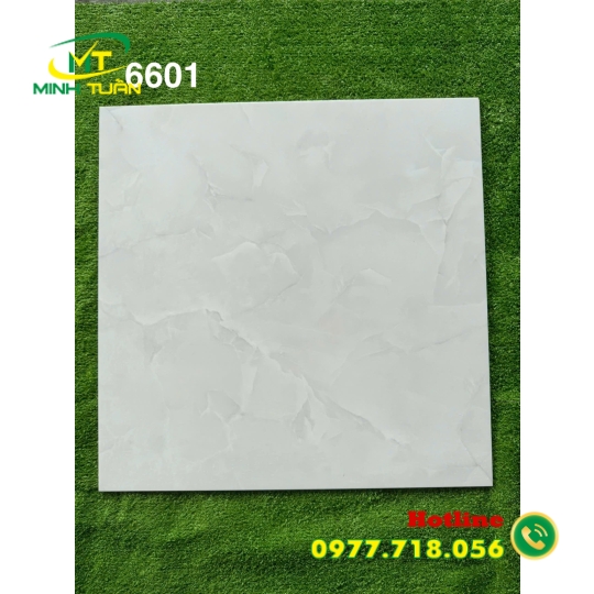 Gạch 60x60 MT6601