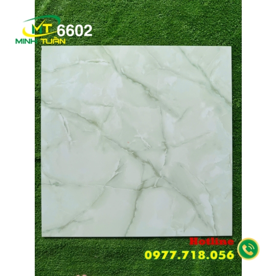 Gạch 60x60 MT6602